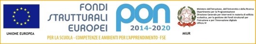 Logo pon FSE