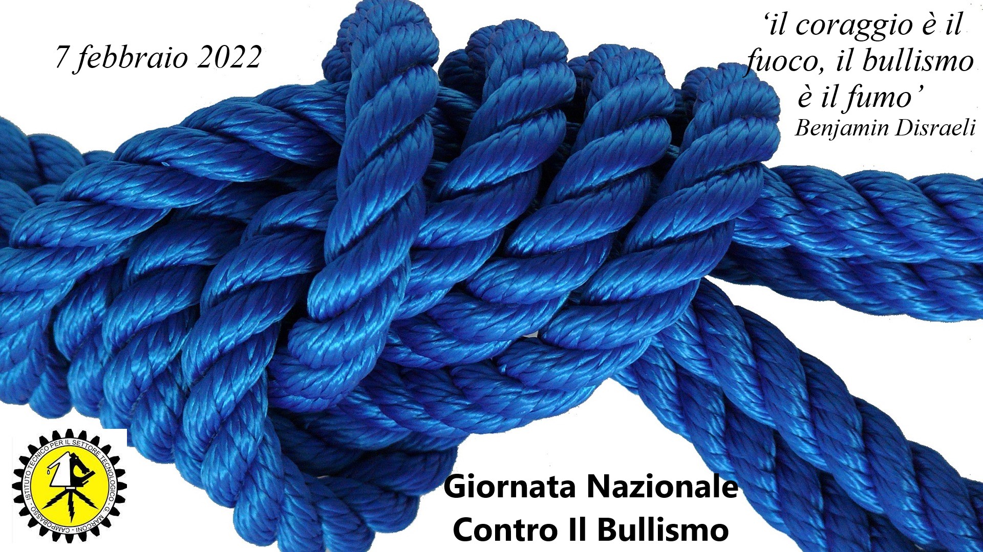 knot 1242654 1920
